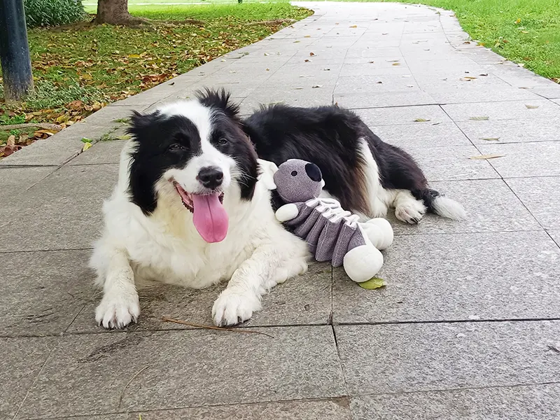 ¿Por qué a los perros les encantan los animales de peluche?