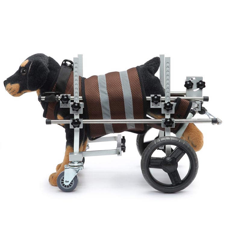 ¿Cómo mantener activo a un perro discapacitado a través de una silla de ruedas para mascotas discapacitadas u otros medios?