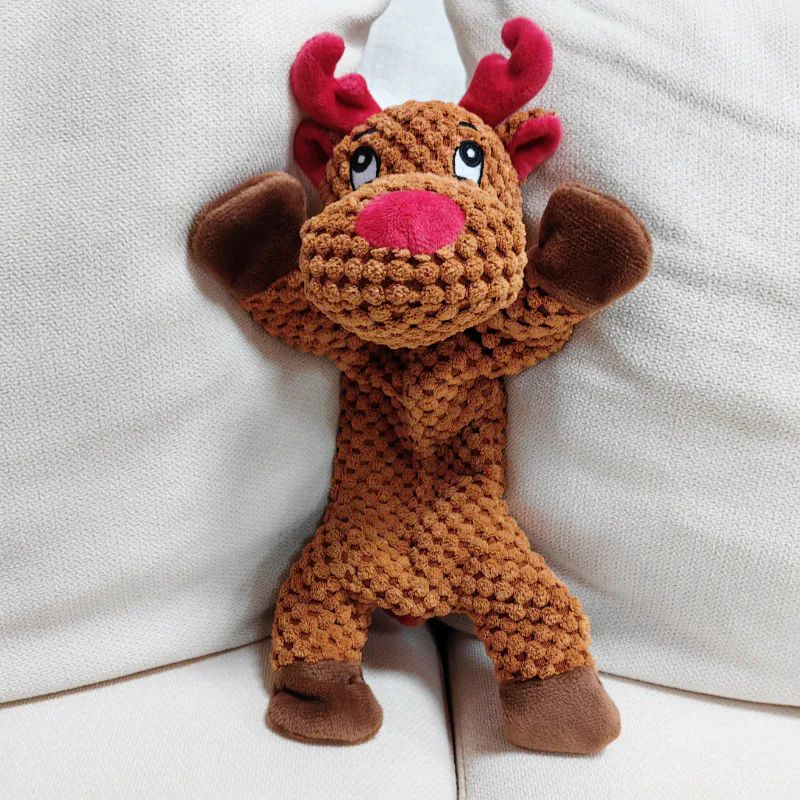 Plush Dog Toy With Rope Inside