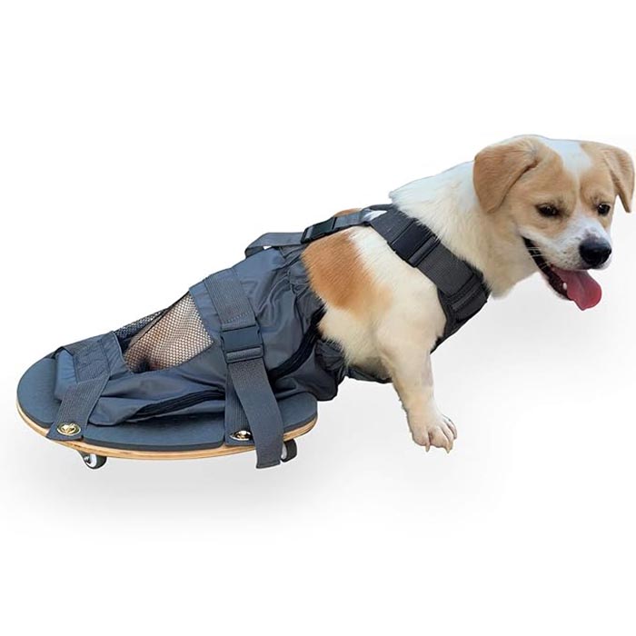 Scooter para parálisis de extremidades de mascotas